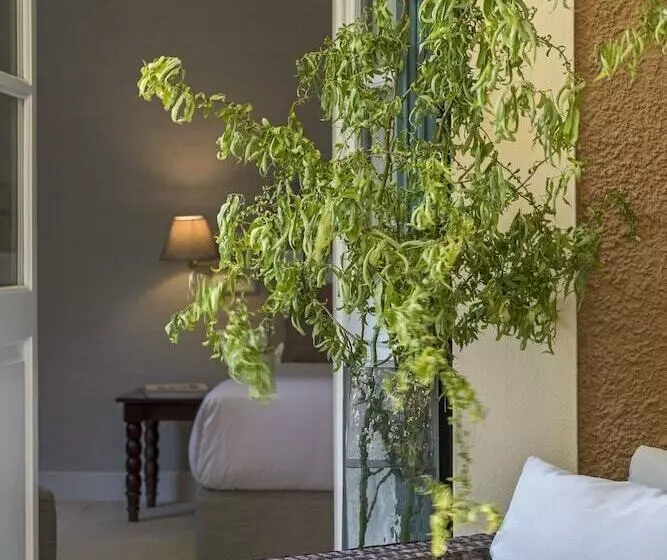 スーペリアースイート, Kefalari Suites