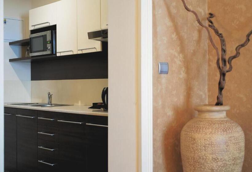 آپارتمان 1 خوابه, Skaritz Hotel & Residence