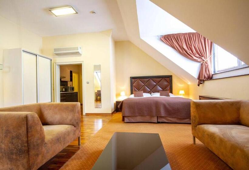 آپارتمان 1 خوابه, Skaritz Hotel & Residence