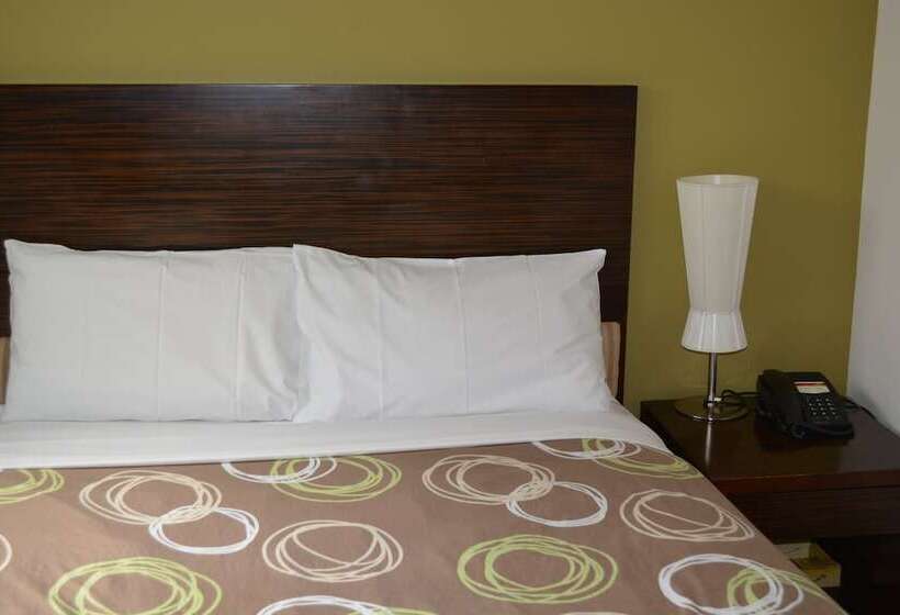 スタンダードルーム, Yti Garden