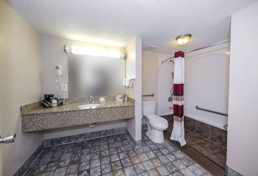 디럭스 룸, Red Roof Inn Atlanta  Suwanee/ Mall Of Georgia