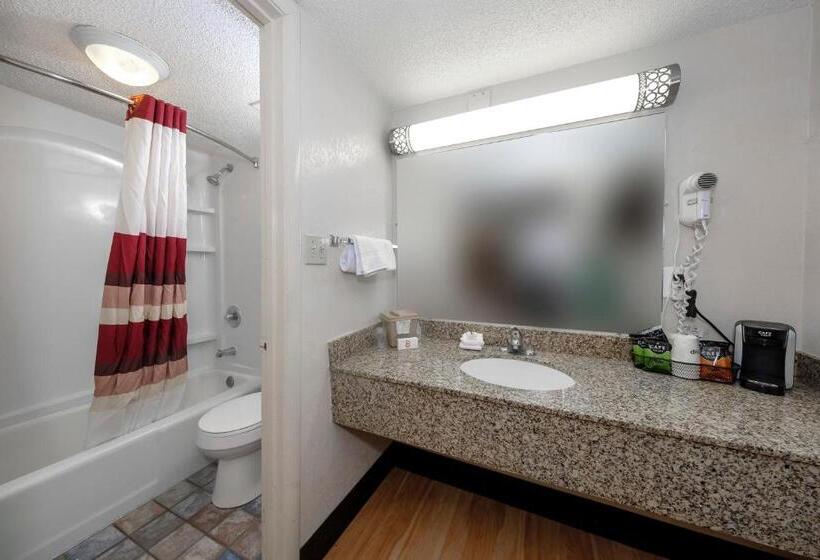 스탠다드 룸 킹사이즈 침대, Red Roof Inn Atlanta  Suwanee/ Mall Of Georgia