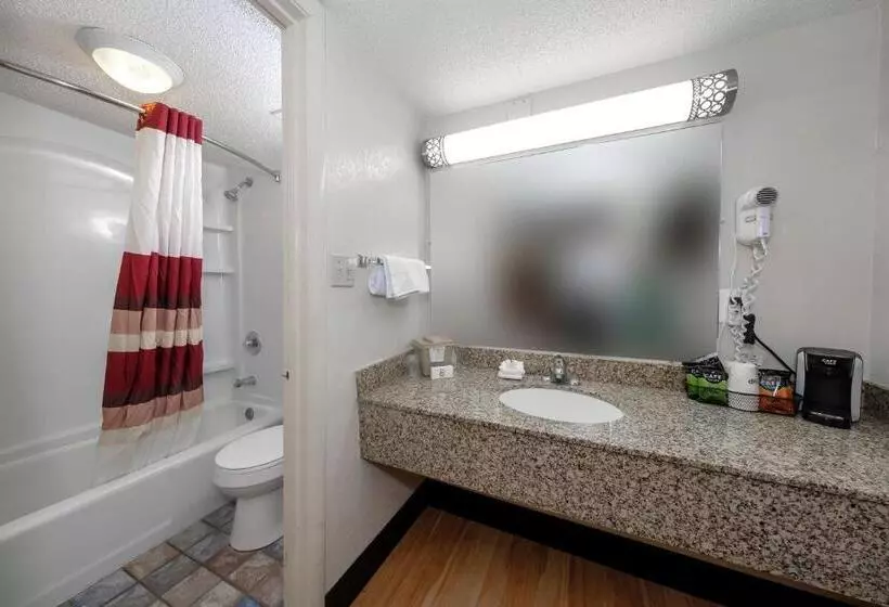 キングサイズベッドのデラックスルーム, Red Roof Inn Atlanta  Suwanee/ Mall Of Georgia