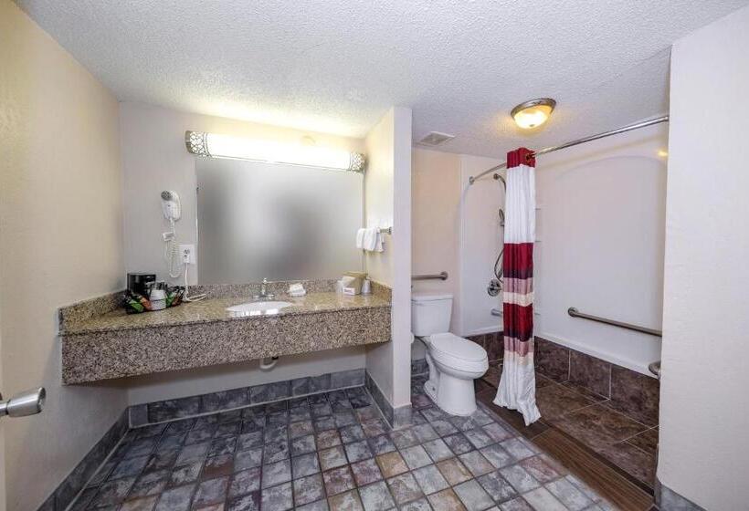 장애인용 디럭스룸, Red Roof Inn Atlanta  Suwanee/ Mall Of Georgia