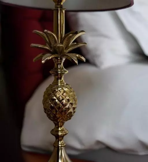 シングルデラックスルーム, Western Isles Hotel