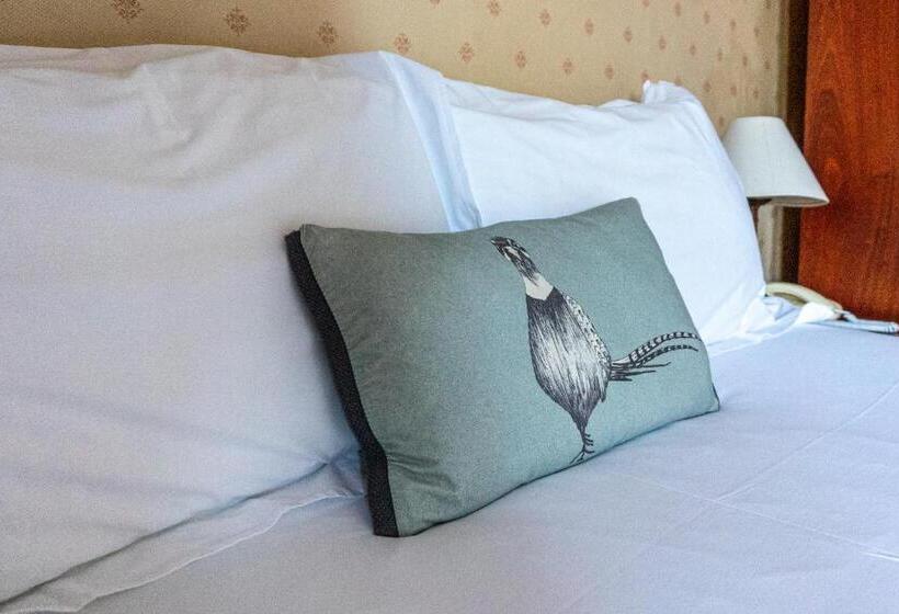 Номер Стандартный с Видом, Western Isles Hotel