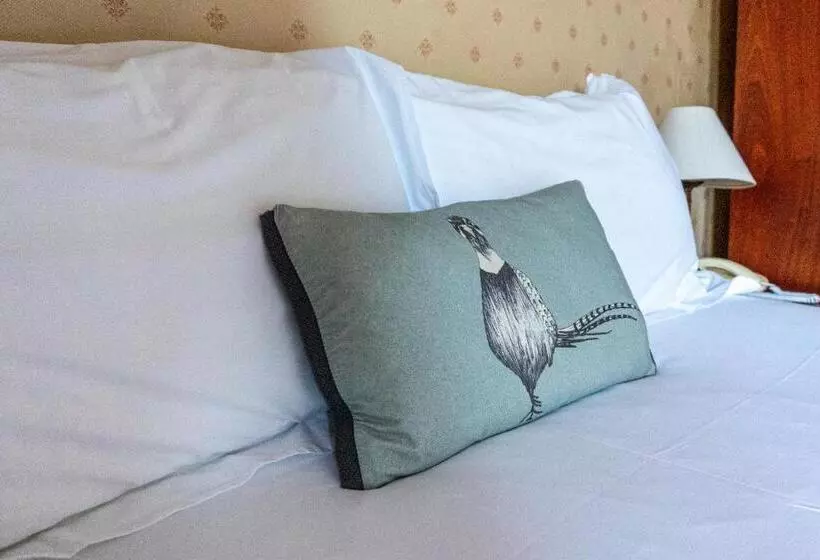 シングルデラックスルーム, Western Isles Hotel