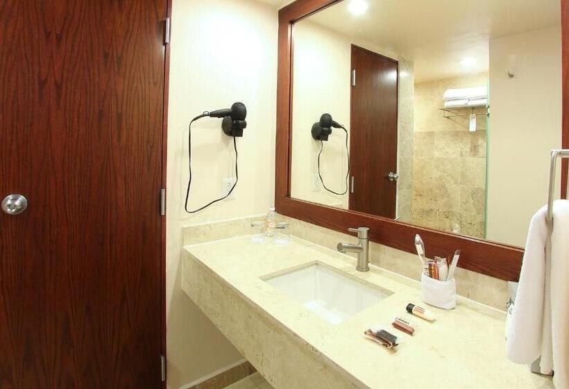 Стандартный Номер Кровать Кинг, Opus Grand Toluca Aeropuerto