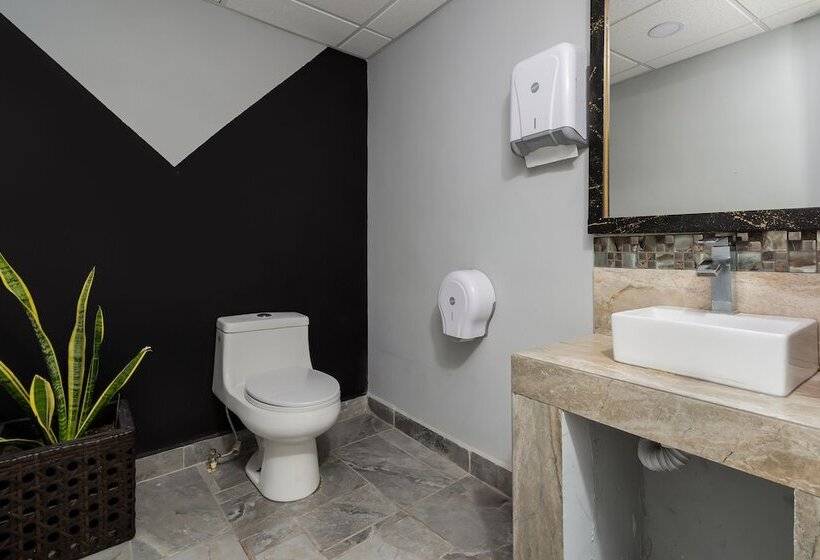 스탠다드 룸, Plaza Regina Torreon