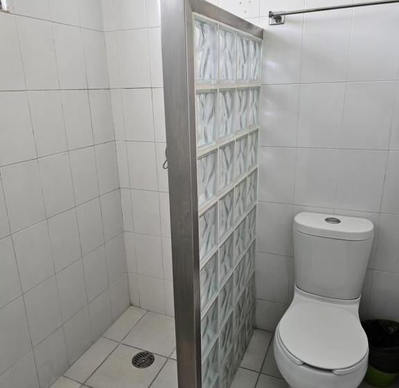 اتاق اکونومی, Lavid Aguascalientes