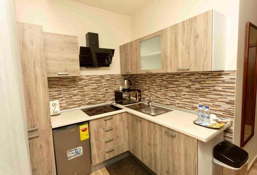 带1个卧室的顶楼公寓, San Marino