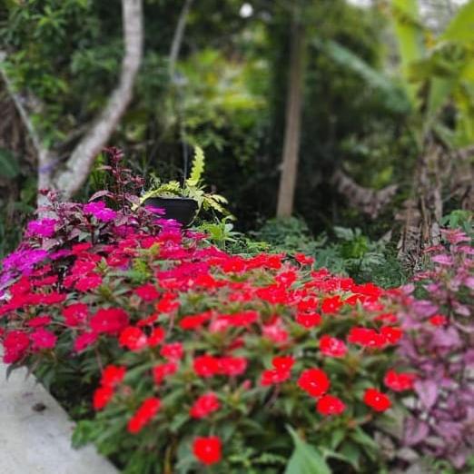 豪华房间, Rancho Do Edy Pousada