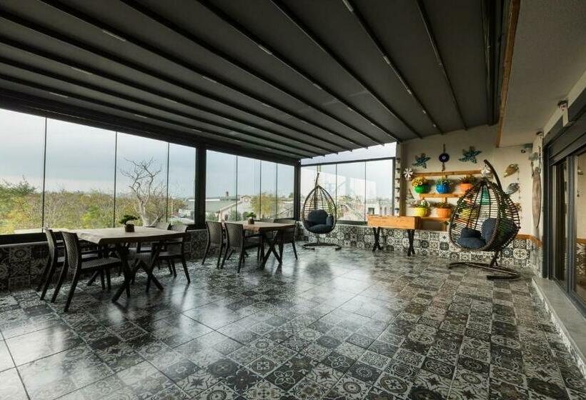 اتاق استاندارد با تراس, Florya Novi