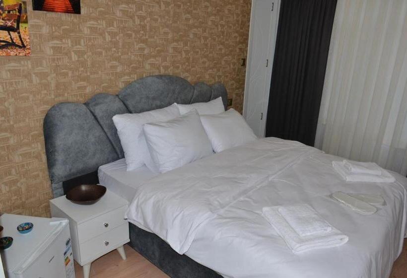 اتاق استاندارد, Rodion