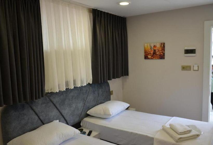 اتاق استاندارد, Rodion