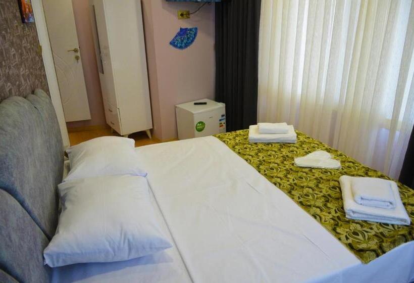 اتاق استاندارد, Rodion