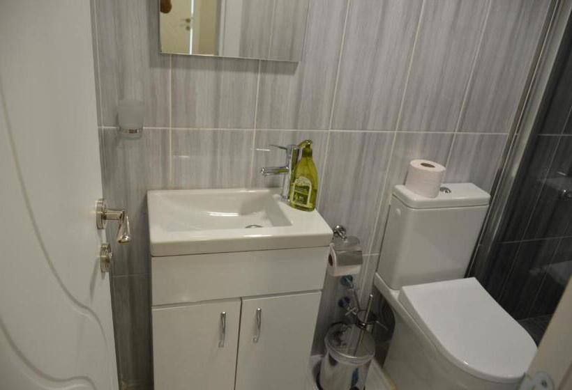 اتاق اکونومی, Rodion