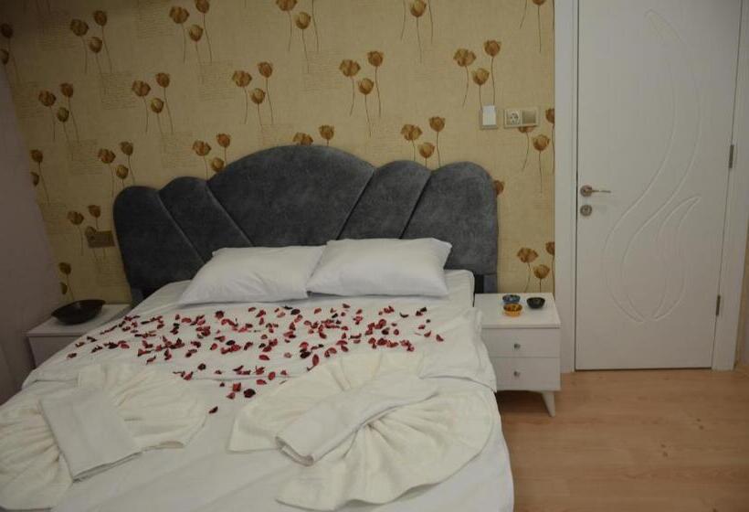 اتاق اکونومی, Rodion