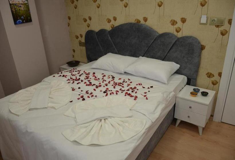 اتاق اکونومی, Rodion