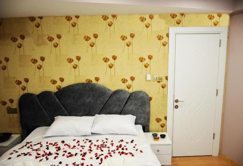 اتاق استاندارد, Rodion