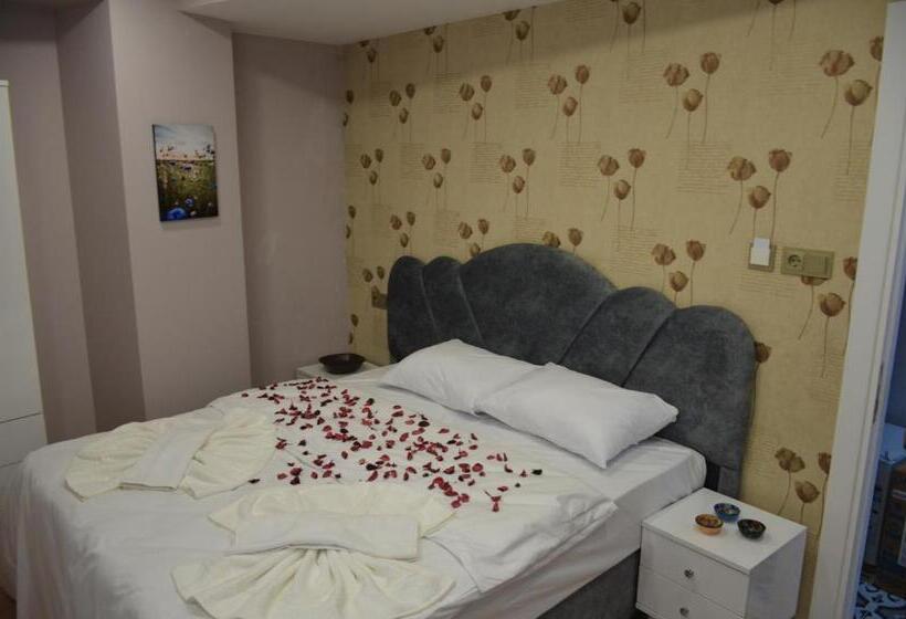 اتاق استاندارد, Rodion