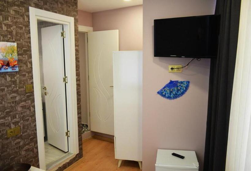 اتاق استاندارد, Rodion