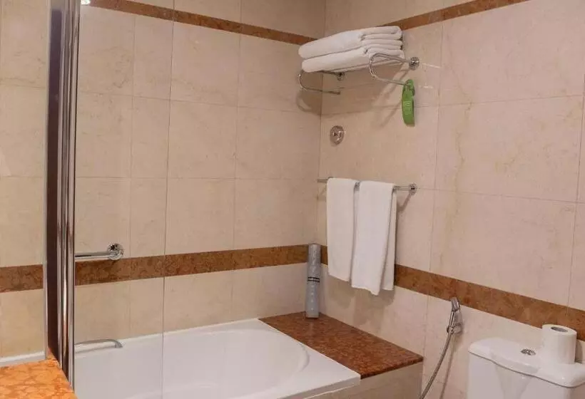 استودیوی استاندارد, Grand Millennium  Dubai
