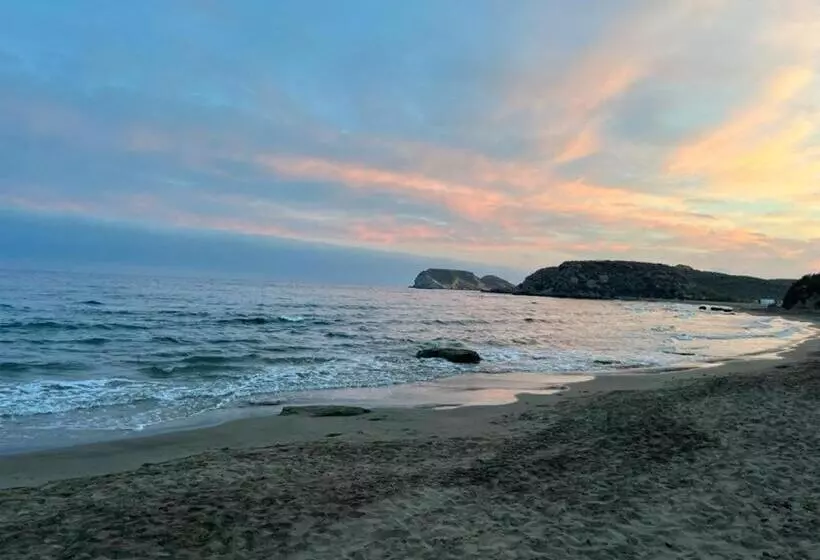 اتاق استاندارد, Playa Terreros
