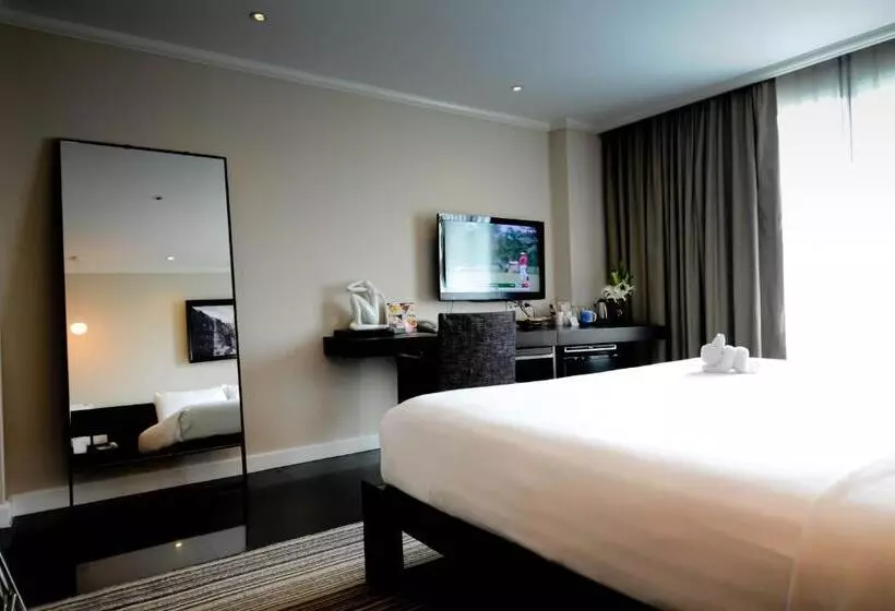Single Deluxe Room