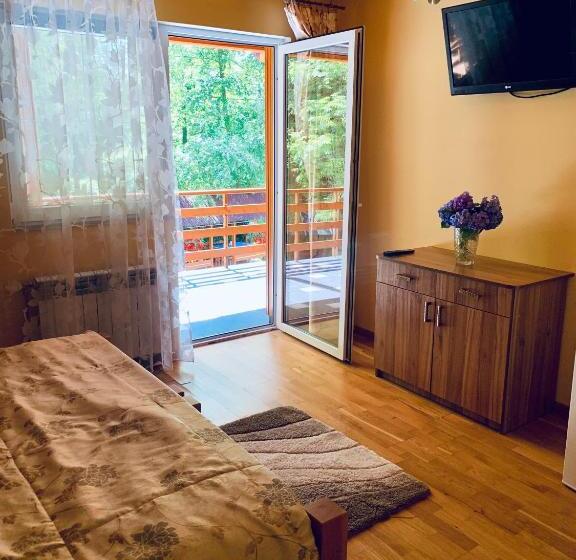 标准间带湖景, янтарная форель