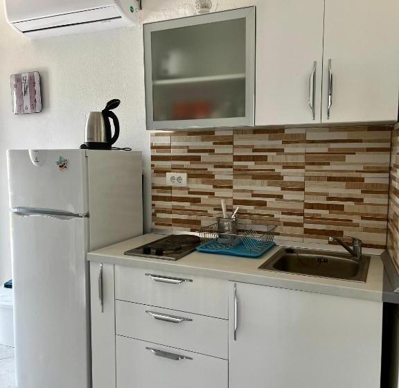 آپارتمان 1 خوابه با چشم‌انداز, Apartments Apartmani Bojana