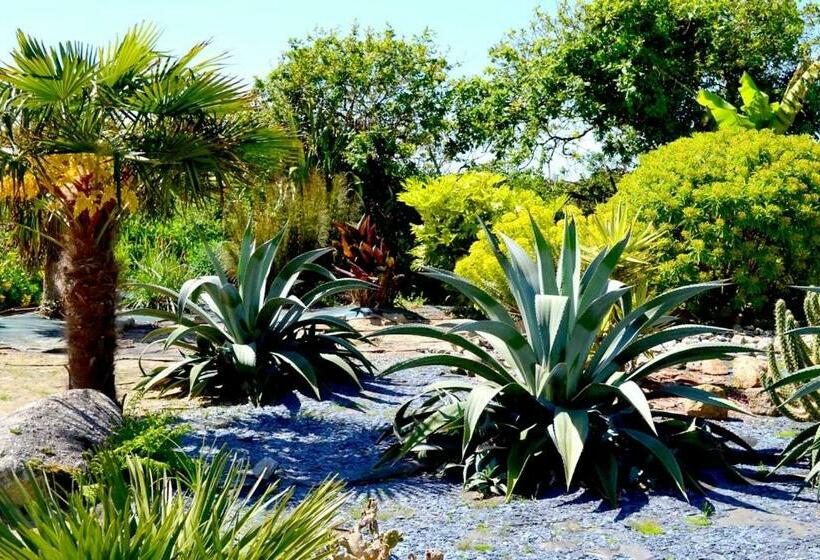 スタンダードルーム, Chambres D Hôtes Le Nid D Iroise