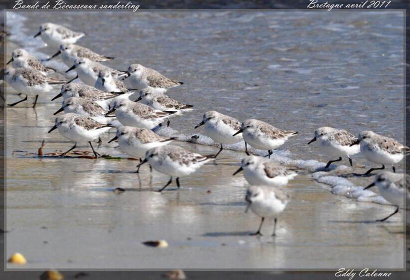 ファミリールーム, Chambres D Hôtes Le Nid D Iroise