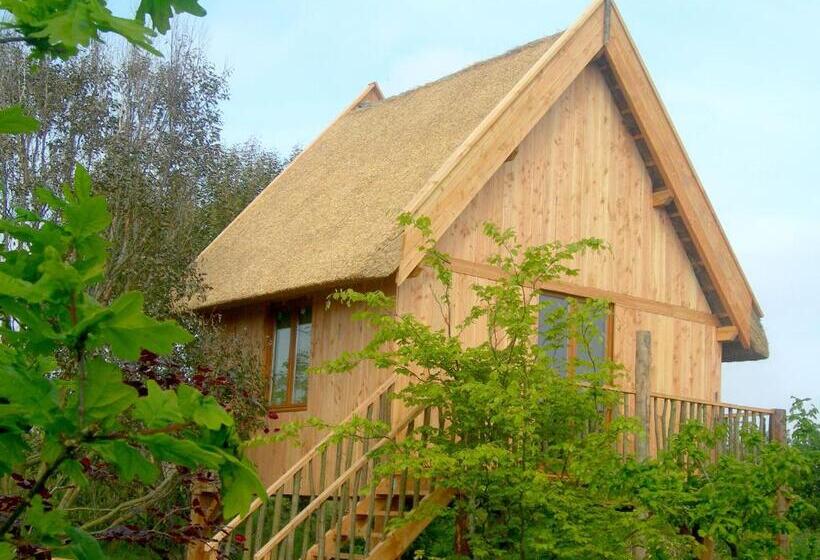 テラス付きスタンダードルーム, Chambres D Hôtes Le Nid D Iroise