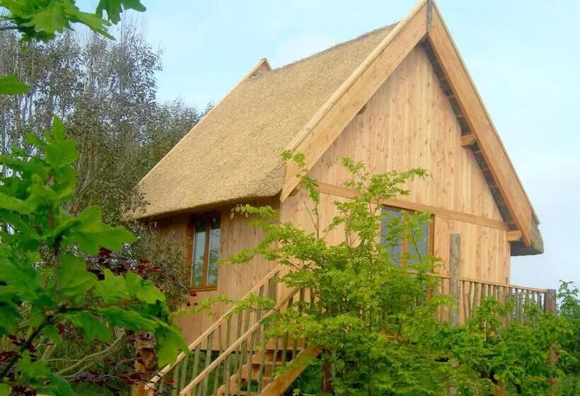 テラス付きスタンダードルーム, Chambres D Hôtes Le Nid D Iroise