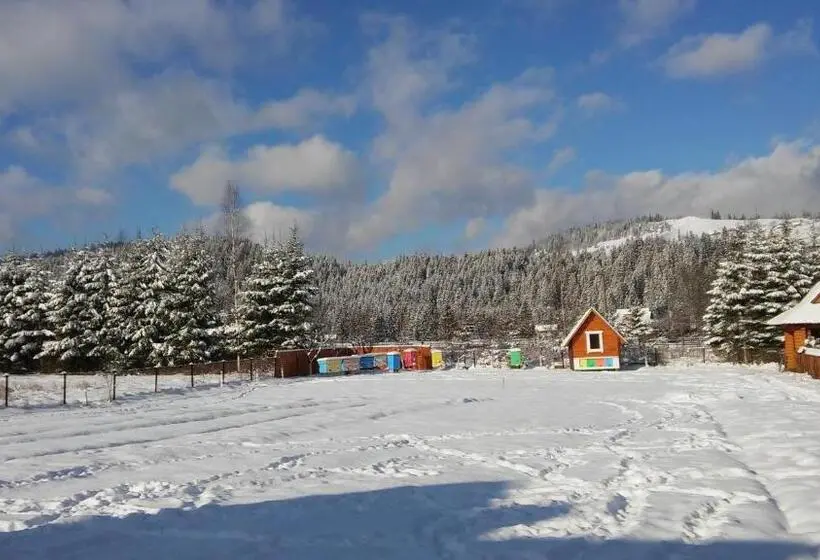 １ベッドルームハウス, Karpatskyi Gomin