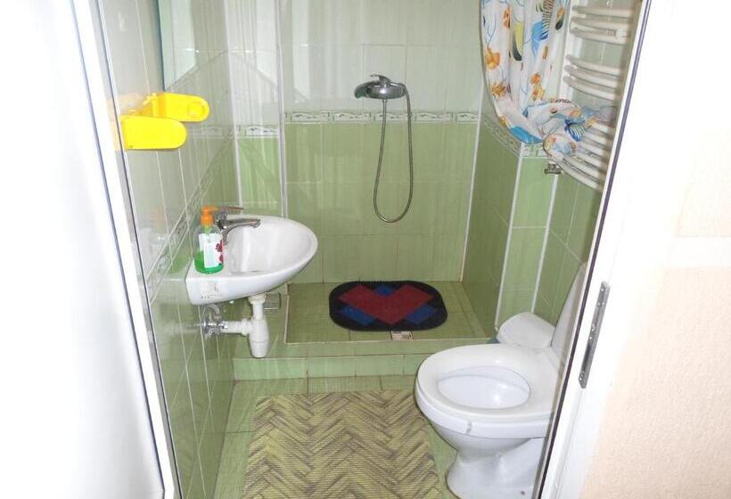 חדר אקונומי, Piroshka