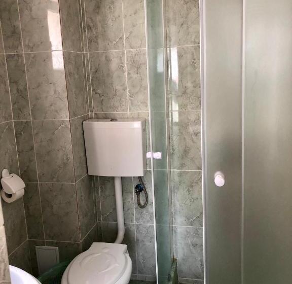 Четырехместный Номер Стандарт с Балконом, Vila Bordei Verde