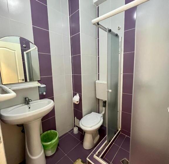 Апартаменты 1 Спальня Нижний Этаж, Vila Bordei Verde