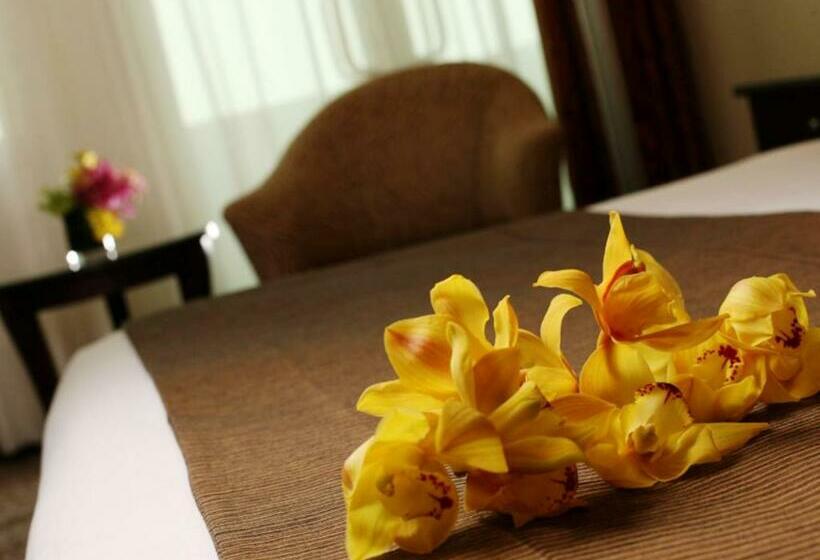 اتاق کلاسیک, Swissotel Al Murooj Dubai