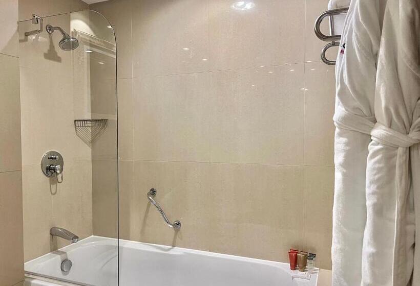 آپارتمان 3 خوابه, Swissotel Al Murooj Dubai