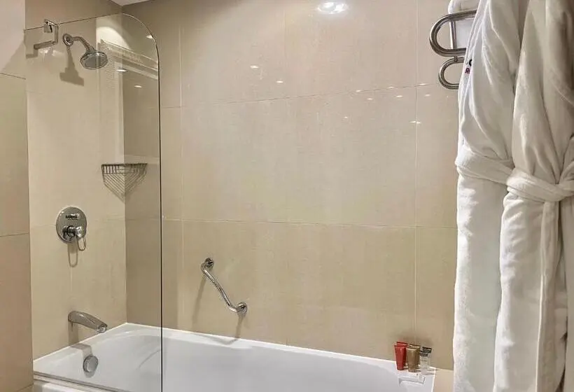 اتاق پنت هاوس, Swissotel Al Murooj Dubai