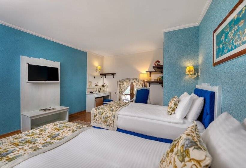 Camera Standard, Adalya Port