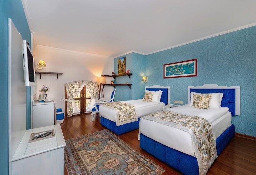 Camera Standard, Adalya Port