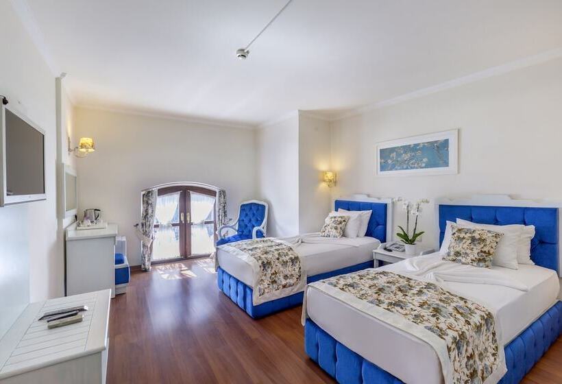 Camera Standard, Adalya Port