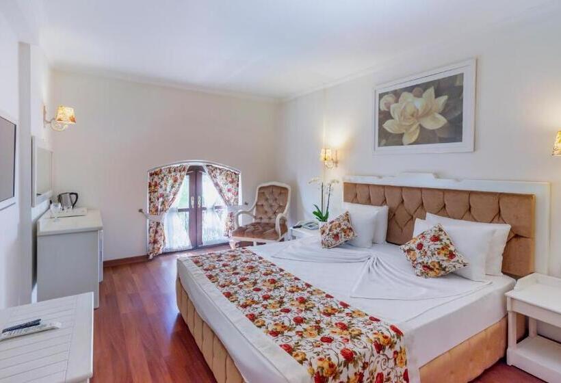 Camera Standard, Adalya Port