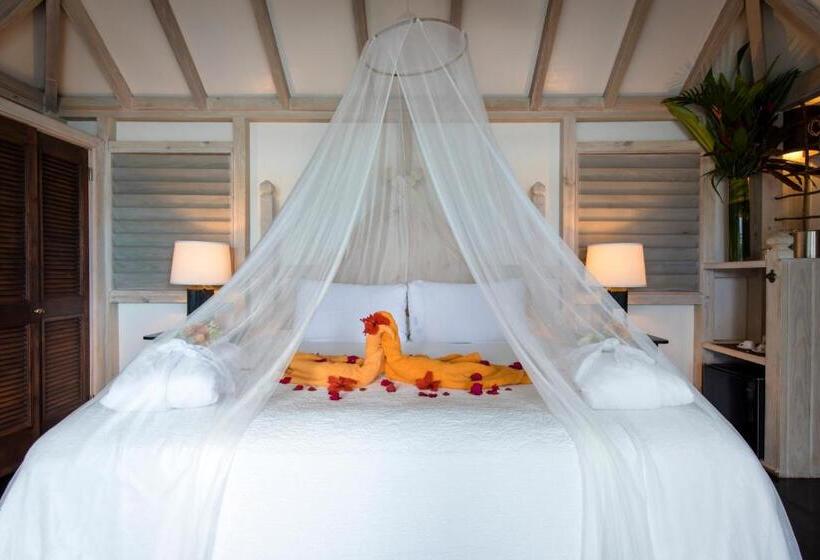 سوییت با استخر, Cocobay Resort Antigua All Inclusive Adults Only