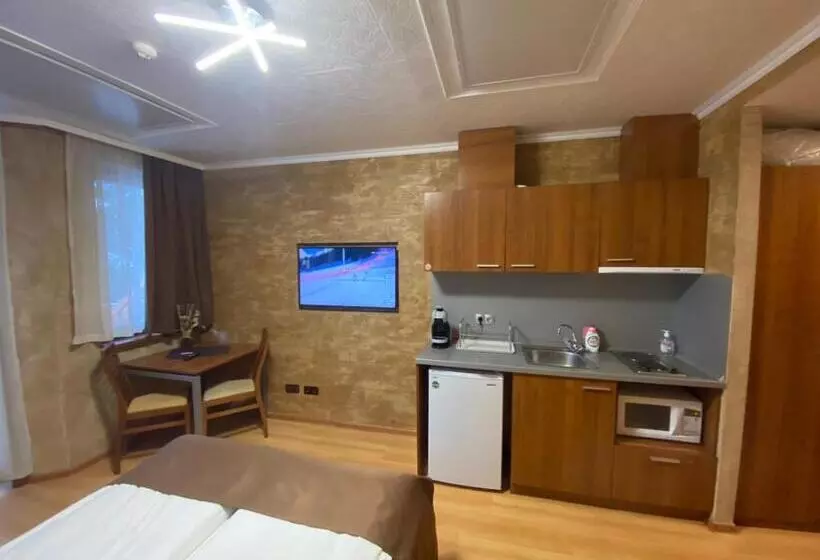 キングサイドベッドのスタンダードワンルーム, Hq Apartments Villa Park