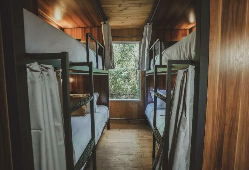 سرير فى غرفة مشتركه, Socialtel Plaza Pucón   Formerly Selina Plaza Pucón