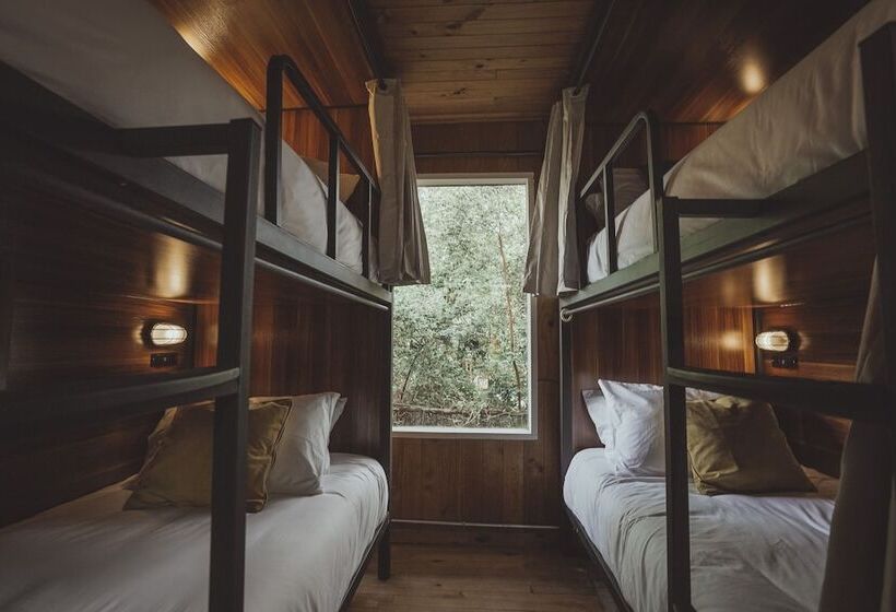 سرير فى غرفة مشتركه, Socialtel Plaza Pucón   Formerly Selina Plaza Pucón